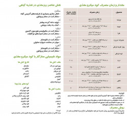 بروشور کود میکرو مغذی ثمرقند
