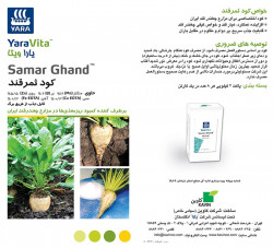 بروشور كود ثمرقند